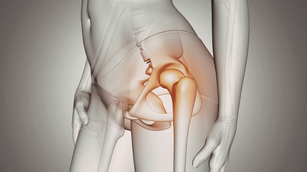 internal view of hip socket highlighted in red to teach How to Tell the Difference Between Hip Impingement vs Tight Hip Flexor